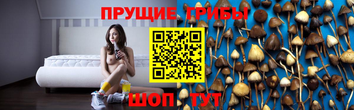 Донецк  Галлюциногенные грибы GOLDEN TEACHER  магазин  наркотиков  Вход с VPN  Галлюциногенные грибы Magic Shrooms 